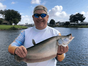 Large Clown Knifefish Caught in Florida